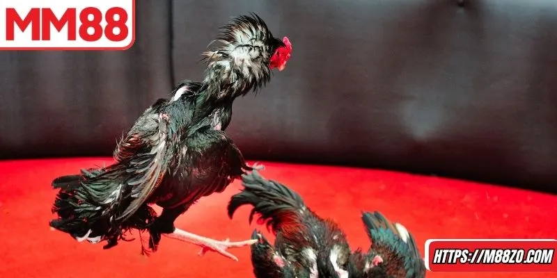 Luyện tập mỗi ngày để tay nghề được nâng cao